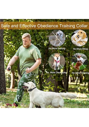 Zilinn 3000ft Köpek Şok Tasması, Su Geçirmez Ve Şarj Edilebilir Evcil Hayvan Eğitmeni