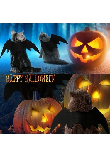 Willowhaven Siyah Kedi Yarasa Kanatları Kostümü 2li Set - Yumuşak Polyester Halloween Evcil Aksesuar