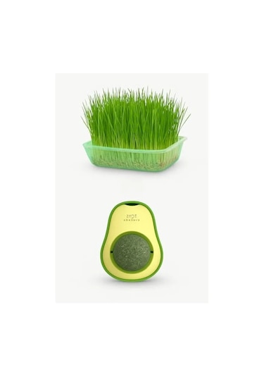 Doğal Kedi Çimi Seti Ve Avokado Catnip Oyuncağı, 2'li Paket