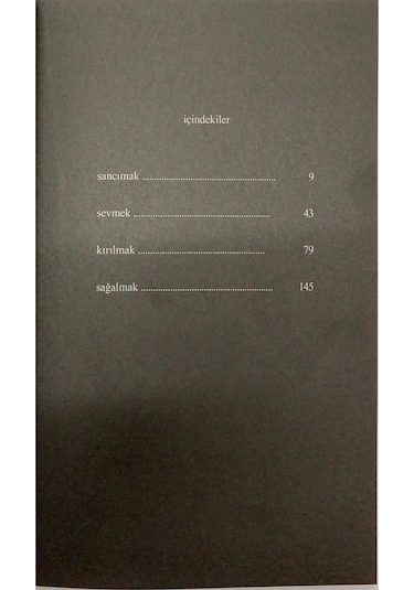 Süt ve Bal - Rupi Kaur - Pegasus Yayınları