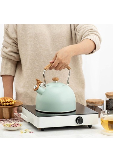 Düdüklü Su Isıtıcısı, 2,5 L Düdüklü Su Isıtıcısı, Gazlı Ocak İndüksiyonlu Ocak Paslanmaz Çelik Su Isıtıcısı 01 Diğer