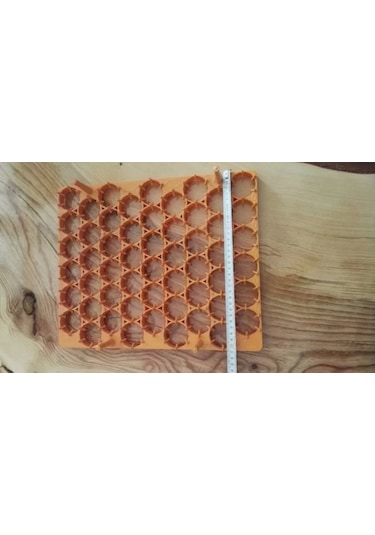 Gelişim viyolu 54 lü Tavuk