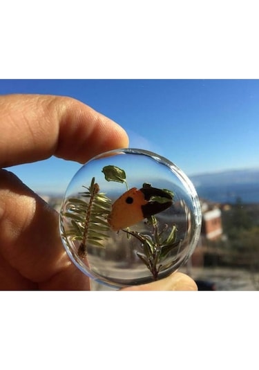 Epoksi Reçine Ultra Şeffaf Hobi Epoksi Seti Arc105 15 Kg Set