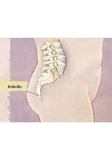 Visco Oturma Simidi Ortopedik Visko Simit Minder Hemoroid 44 CM