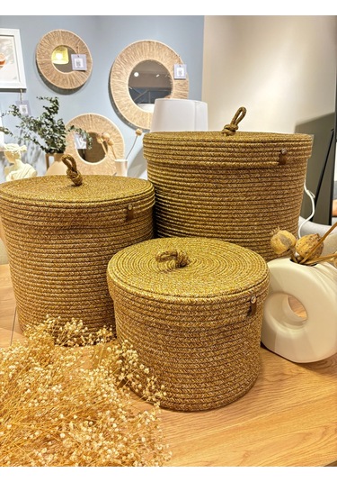 Victor Çok Amaçlı Düzenleyici Kapaklı 3'lü Sepet,kapaklı Kirli Çamaşır Sepeti, Kapaklı Organizer Hasır