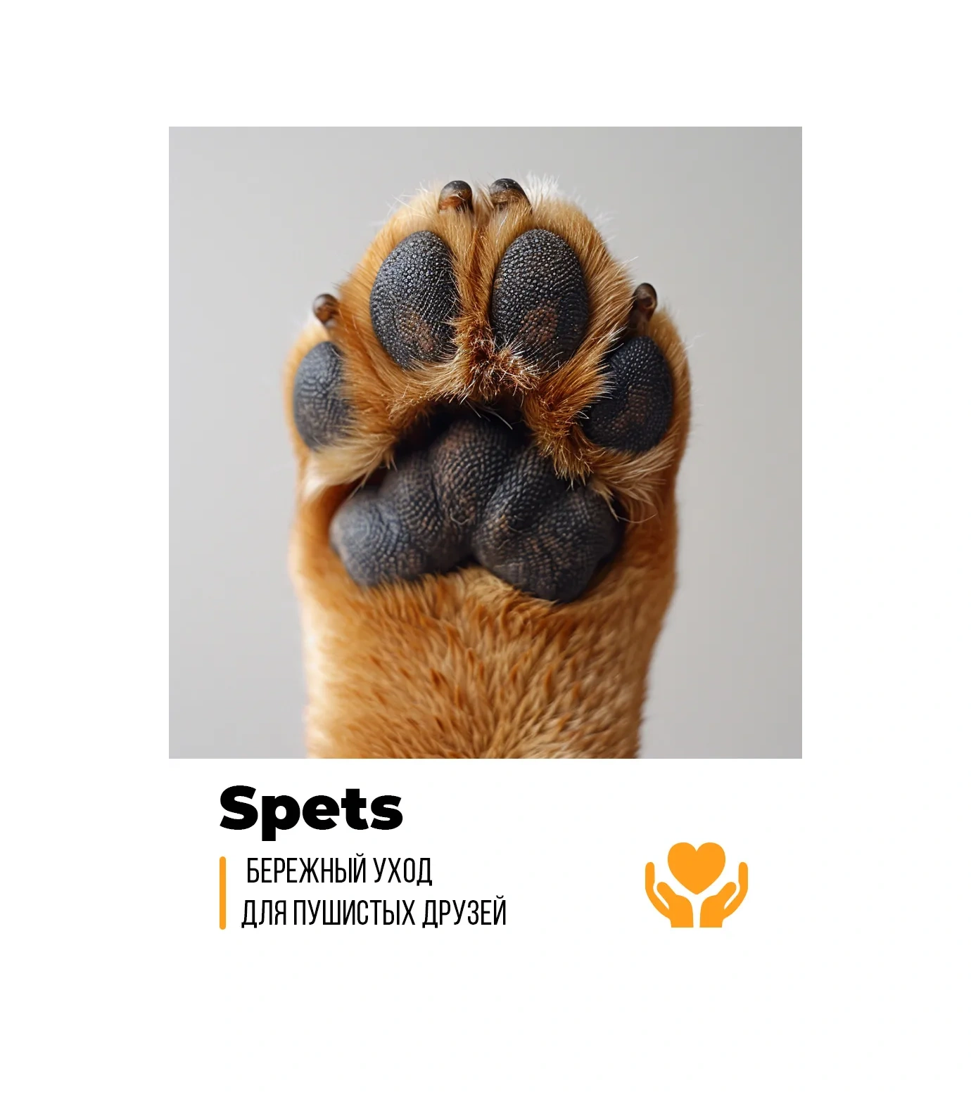 Spets Köpekler Ve Kediler İçin Çatlaklar İçin Terapötik Krem-merhem, Patiler Ve Burunmiyorum Medarı 291110647