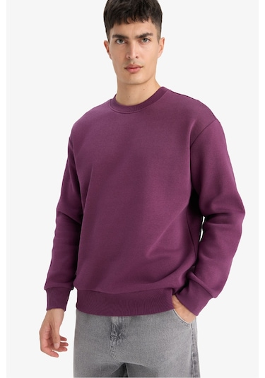 Defacto Relax Fit Bisiklet Yaka Kalın İçi Yumuşak Tüylü Basic Düz Sweatshirt T5139az25aupr79 Mor Defacto Relax Fit Bisiklet Yaka Kalın İçi Yumuşak Tüylü Basic Düz Sweatshirt T5139az25aupr79 Mor