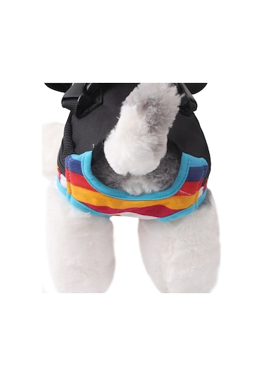 Seyahat Taşınabilir Pet Göğüs Sırt Çantası Pet Taşıma Çantası, Boyut: L Gökkuşağı Çizgili