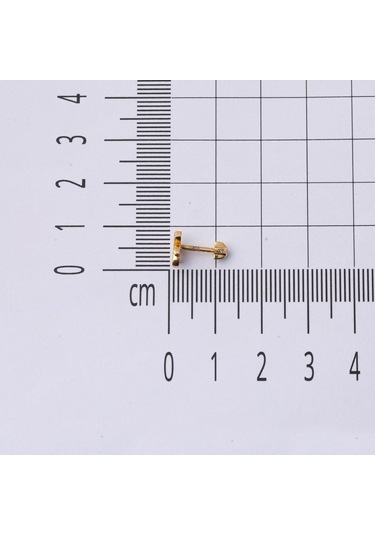 Bilezikci  14 Ayar Altın Piercing Tragus Küpe Kphsy14k22496 Sarı