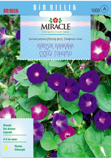 Miracle Karışık FielGRown Kahkaha Çiçeği Tohumu 10 Tohum