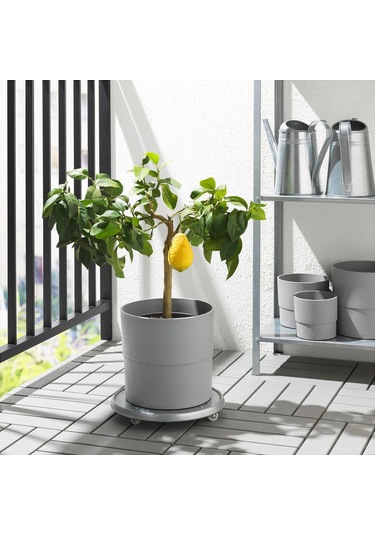 Plastik Saksı, Gri, 24 Cm 25 Cmx50 Cm 1 Kg