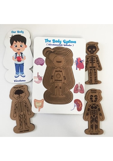 Moon Beavers Vücudumuz Sistemleri Erkek Ahşap Eğitici Oyun