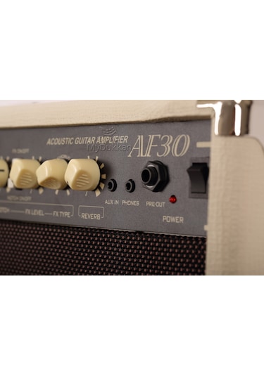 Cort Af30 Akustik Gitar Amfisi