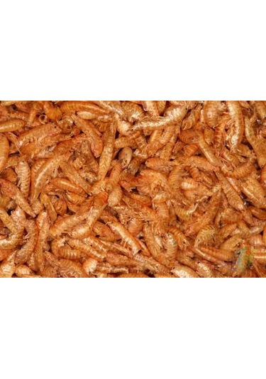 Kurutulmuş Gmarus Kurutulmuş Karides 100 G.