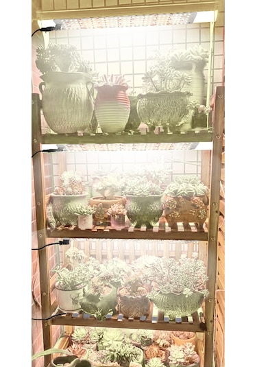 Reedark Bitki Büyüme Lambası - 6 Aydınlık Seviyeli, Akıllı Zamanlayıcılı, Full Spektrum Led Panel 30x8cm Diğer