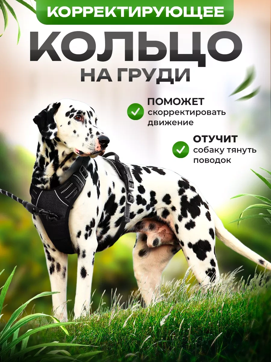 Petfort Orta Ve Büyük Irk Köpekler İçin Anatomik Koşu Kayışı 175383449 Siyah