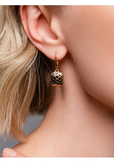 Lamponi 925 Ayar Gümüş Leopadlı Taşlı Küpeler 287321390 Altın