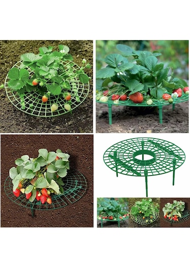Yate10 2 Adet Plastik Çilek Geliştirme Standı