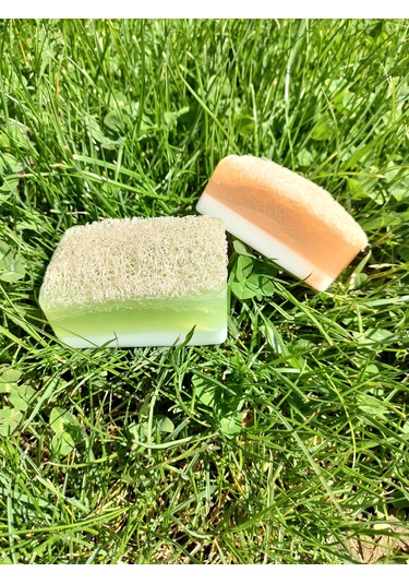 Doğal Kabak Lifli Ballı Eşek Sütlü  + Aloe Vera 2'li Sabun