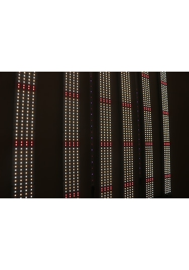 680w Lm281b Bitki Yetiştirme Lambası Full Spektrum