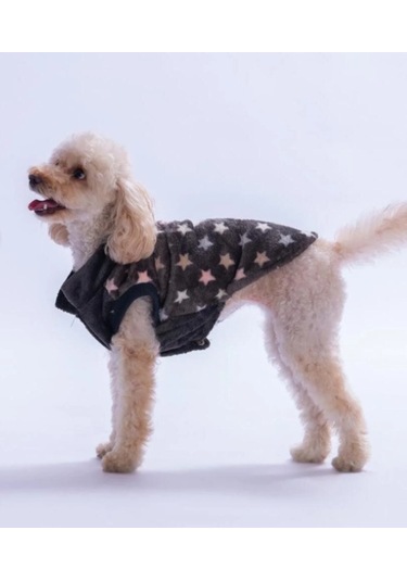 Pawstar Camden Nights Küçük Irk Köpek Peluş Yelek