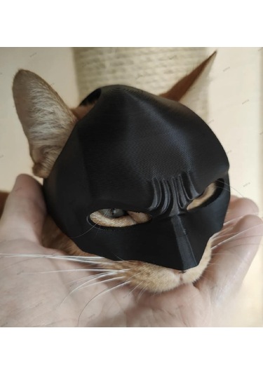 Siyah Batman Kedi Maske - Giyilebilir Kedi Maskesi Evcil Hayvan Maskesi 1 Adet