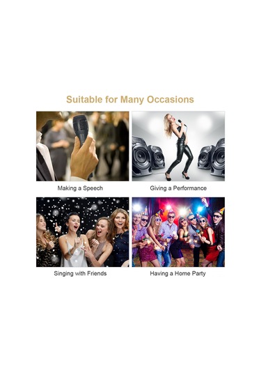 Singree "profesyonel Dinamik Vokal Mikrofon - 6.5mm/3.5mm Adaptörlü, Yüksek Ses Kalitesi"