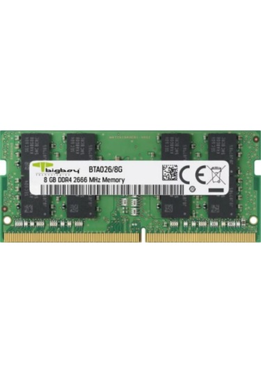 Bigboy BTA026/8G 8 GB DDR4 2666 MHz CL19 Ram