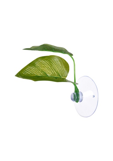 Xiyyadms Akvaryum Yeşil Yapraklar - Balıklar İçin Doğal Dinlenme Ve Yumurtlama Alanı 2 Yaprak