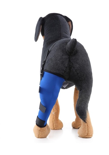 Homyl Köpek Yardımcı Kemer Koruyucu Eklemler