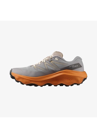 Salomon Ultra Flow 2 Gore-tex Erkek Ayakkabısı L47884200 Çok Renkli
