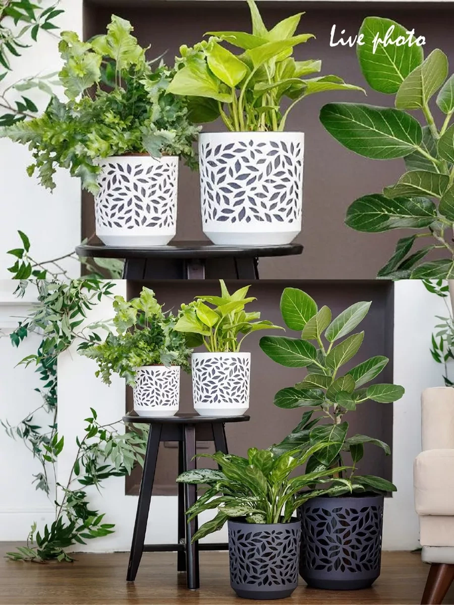 La Decoro İç Mekan Çiçek Saksısı, Çiçek Saksısı, Leaves Saksı 240787142