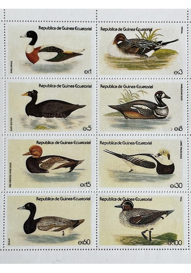 Ördek Temalı Ekvator Ginesi Damgasız 8'li Blok Pul