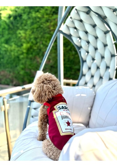 Köpek Atlet Barbeque Souce Yeni