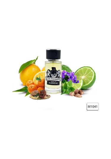 Lion Francesco Scent Of Baghdad Erkek Parfüm EDP 50 ML