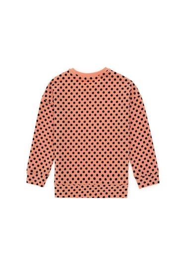 U.s. Polo Assn. Kız Çocuk Somon Sweatshirt 50298157-vr047 Somon