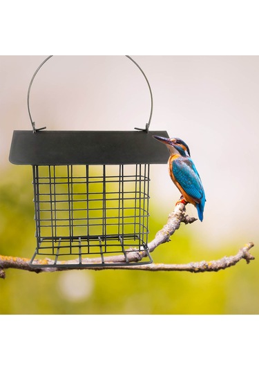 Yunboo Geniş Yemleme Açılıklı, Kuru Yem Saklama Korumalı, Taşınabilir Ve Temizlenebilir Retro Bakır Renkli Dış Mekan Kuş Yemleme Cihazı