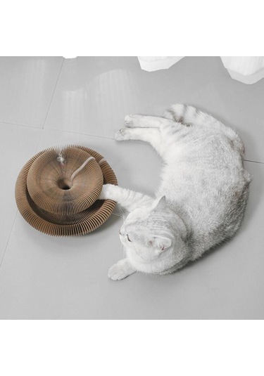 Suntek Organ Kedi Tırma Tahtası Tırmalama Katlanabilir Bir