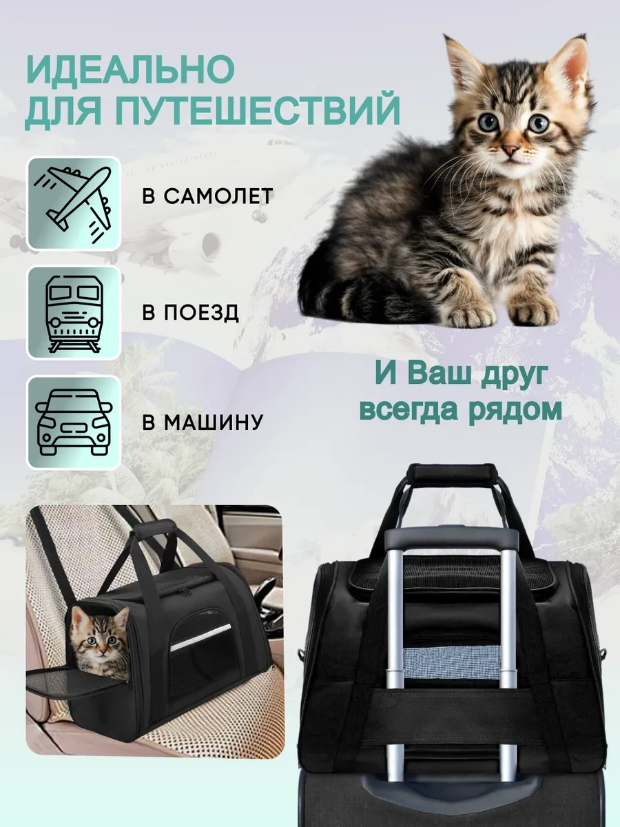 Rnb4pets Kedi Ve Köpek Taşıma Çantası 102767889