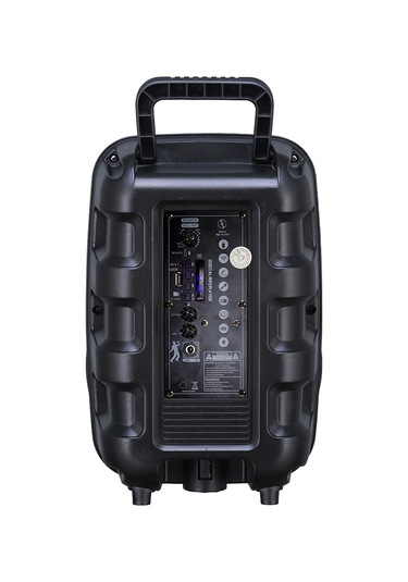 Rgb Işıklı Parti Karaoke Hoparlör Bluetooth, 8 İnç Güçlü Bas, Mikrofonlu, Fm Radyo Ve Tws Stereo Ses