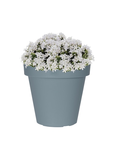 Gri Plastik Yuvarlak Saksı Çap 40 Cm Yükseklik 35 Cm