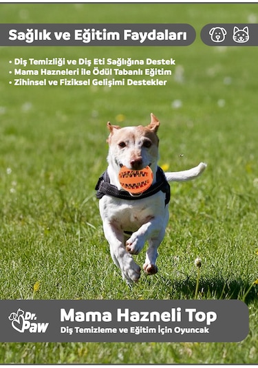 Dr. Paw Mama Hazneli Köpek Oyun Topu
