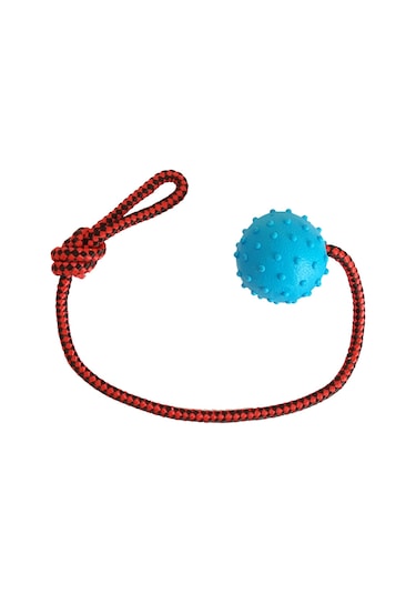 Mixpet Toplu 45 CM Diş İpli Köpek Oyuncağı Çok Renkli