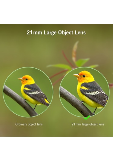 Suofeng Kompakt Katlanabilir 8x21 Mini Binokül, Hafif Ve Taşınabilir, Net Görüntü, Kuş İzleme, Seyahat, Konser İçin Yetişkin Ve Çocuklar İçin