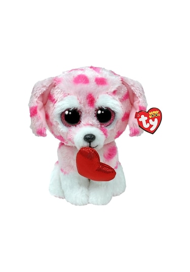 Rory-Dog Val Reg