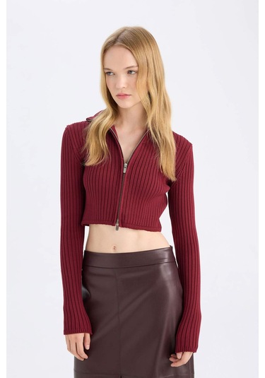 Defacto Coool Yarım Balıkçı Yaka Fermuarlı Triko Hırka B2558AX24AUBR415 Bordo