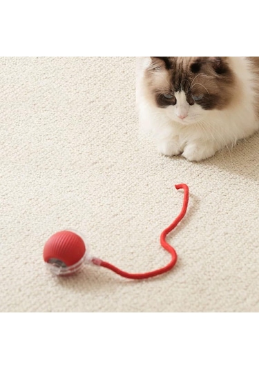 Hesperus Kedi Köpek İçin Kendinden Hareketli, Şarjlı Oyuncak Top