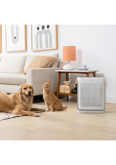 Levoit Vital 200S Pro Akıllı Gerçek Hepa Hava Temizleme Cihazı