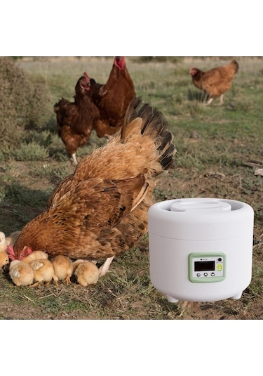 Pazly Yumurta Suntek Otomatik Kuluçka Makinesi Ördek Güvercin Ev Pp