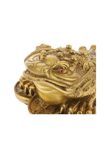 Trendooze Homyl Feng Shui Çin Zenginliği L L, Şanslı Para Talimatı L